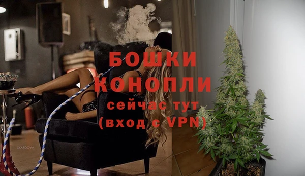 амф Пересвет