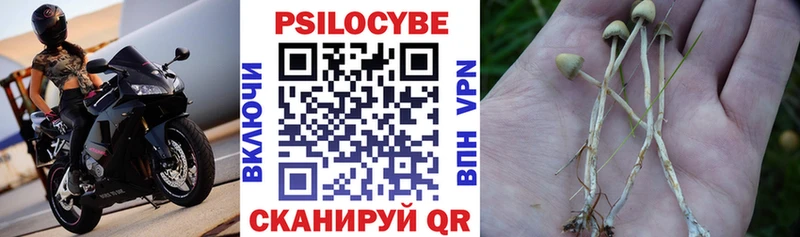 Псилоцибиновые грибы Cubensis  Северобайкальск 